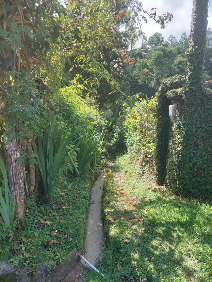 Casa Canto Verde วิสกอนจิ จิ เมาอา ภายนอก รูปภาพ